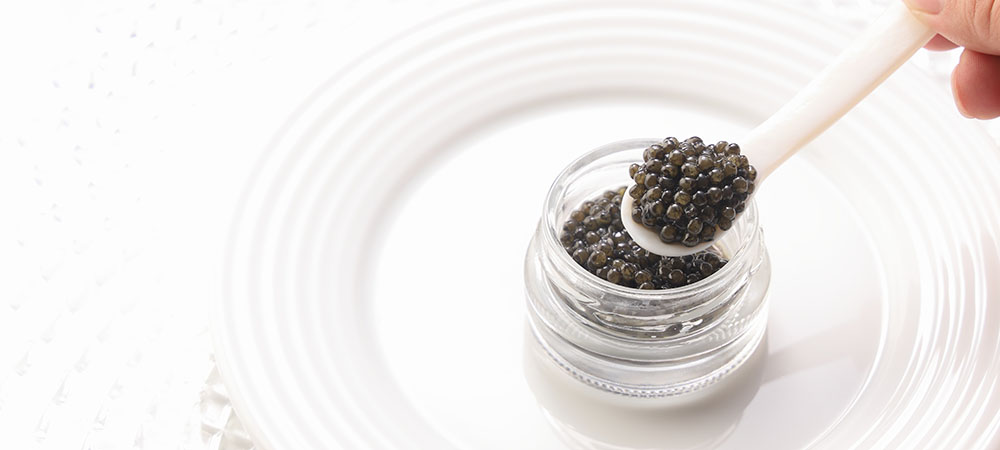 【2月12日限定】スペシャルイベント「キャビアと冬の味覚」ディナー