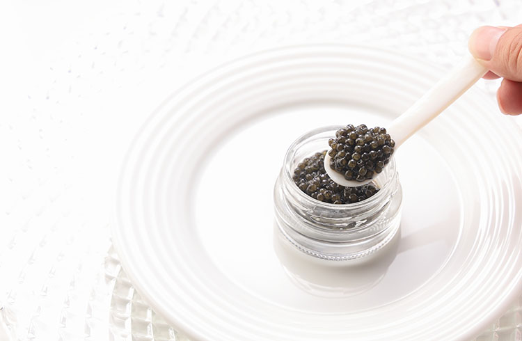 【2月12日限定】スペシャルイベント「キャビアと冬の味覚」ディナー