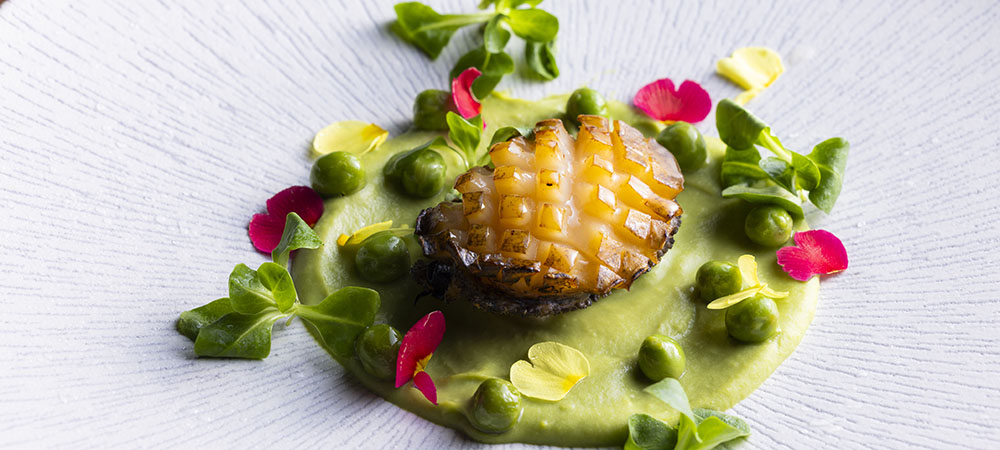 「鉄板焼　渾（こん）」ランチ＆ディナー